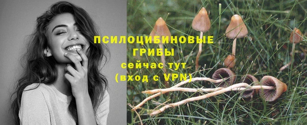 ALPHA PVP Дмитриев