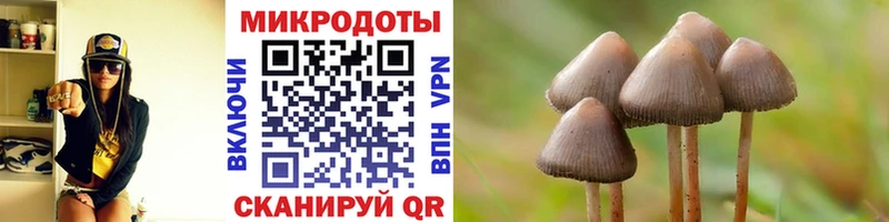 Галлюциногенные грибы Psilocybe  где можно купить   мега онион  Севск 
